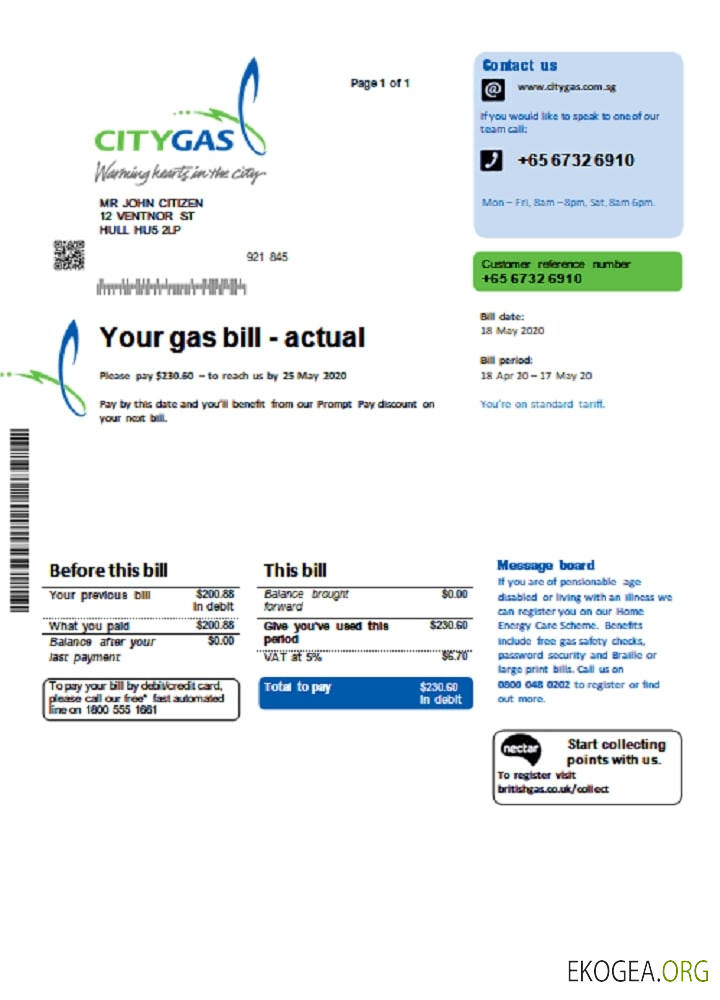 Singapore City Gas utility bill template in Word and PDF format